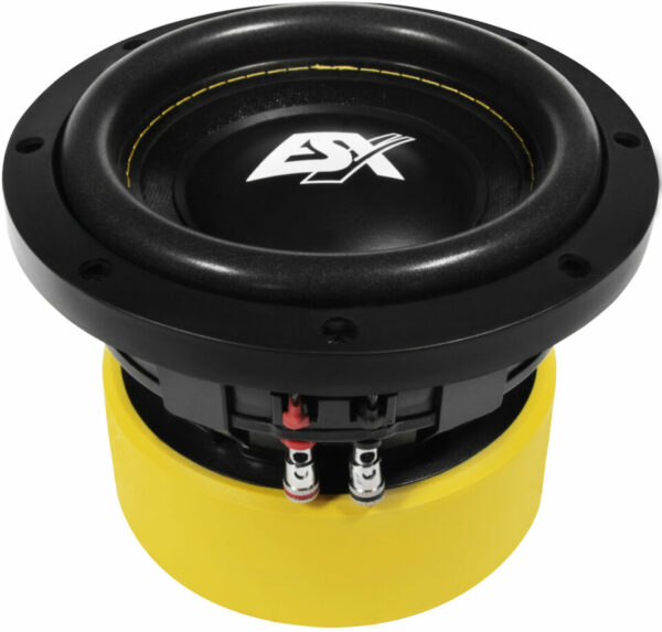 ESX QUANTUM Woofer QE-622